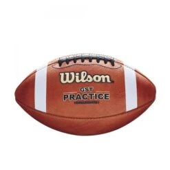 Wilson 1003 GST Leather Practice Football
