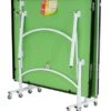 Butterfly Easifold 19 Indoor Rollaway Table Tennis Table