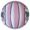 Sure Shot Star Netball -Ball Sports Store 340N905BP Star Netball side