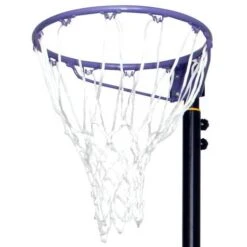 SURE SHOT 503 Goal Shot Netball Unit (66503BP) -Ball Sports Store 66503 BP Sure Shot Goal Shot Netball unit Ring Only