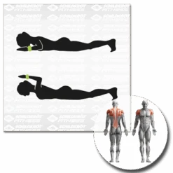 Schildkrot 960001 Wrist And Ankle Weights 15 Schildkrot 960001 Wrist And Ankle Weights -Ball Sports Store 960001 Gewichtsmanschette 05kg Piktogramm 1