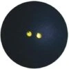DUNLOP Pro Squash Balls (Double Spot) (Set Of 3) 1 DUNLOP Pro Squash Balls (Double Spot) (Set Of 3) -Ball Sports Store DOUBLE DOT BALL