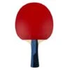 Butterfly Timo Boll Sapphire Table Tennis Bat -Ball Sports Store butterfly timo boll sapphire 1