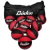 BADEN Game Day Bag With 10 X Balls -Ball Sports Store g 1582102452 06335000