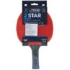 Stiga 2 Star Vapour Table Tennis Bat -Ball Sports Store g 7318681622347