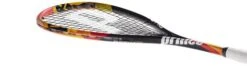 Prince Phoenix Pro 750 Squash Racket (2019) -Ball Sports Store phoenix pro 4